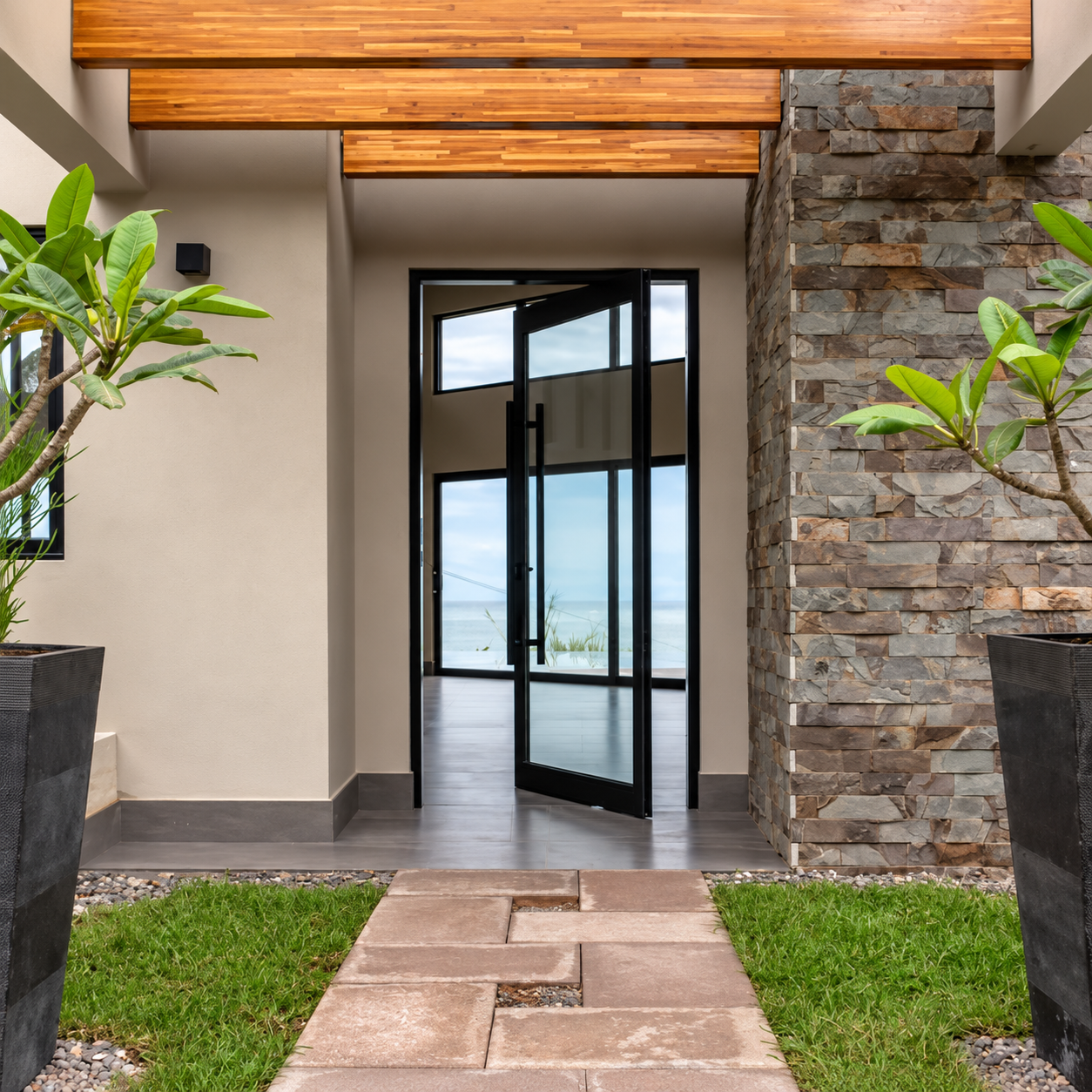 Black aluminium glass pivot entrance door